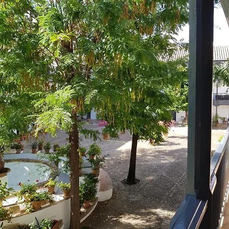 Appartamento Patio andaluz siglo XVI Siviglia Esterno foto